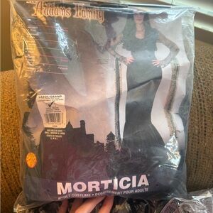 Morticia Addams Family Adult Costume - Black
